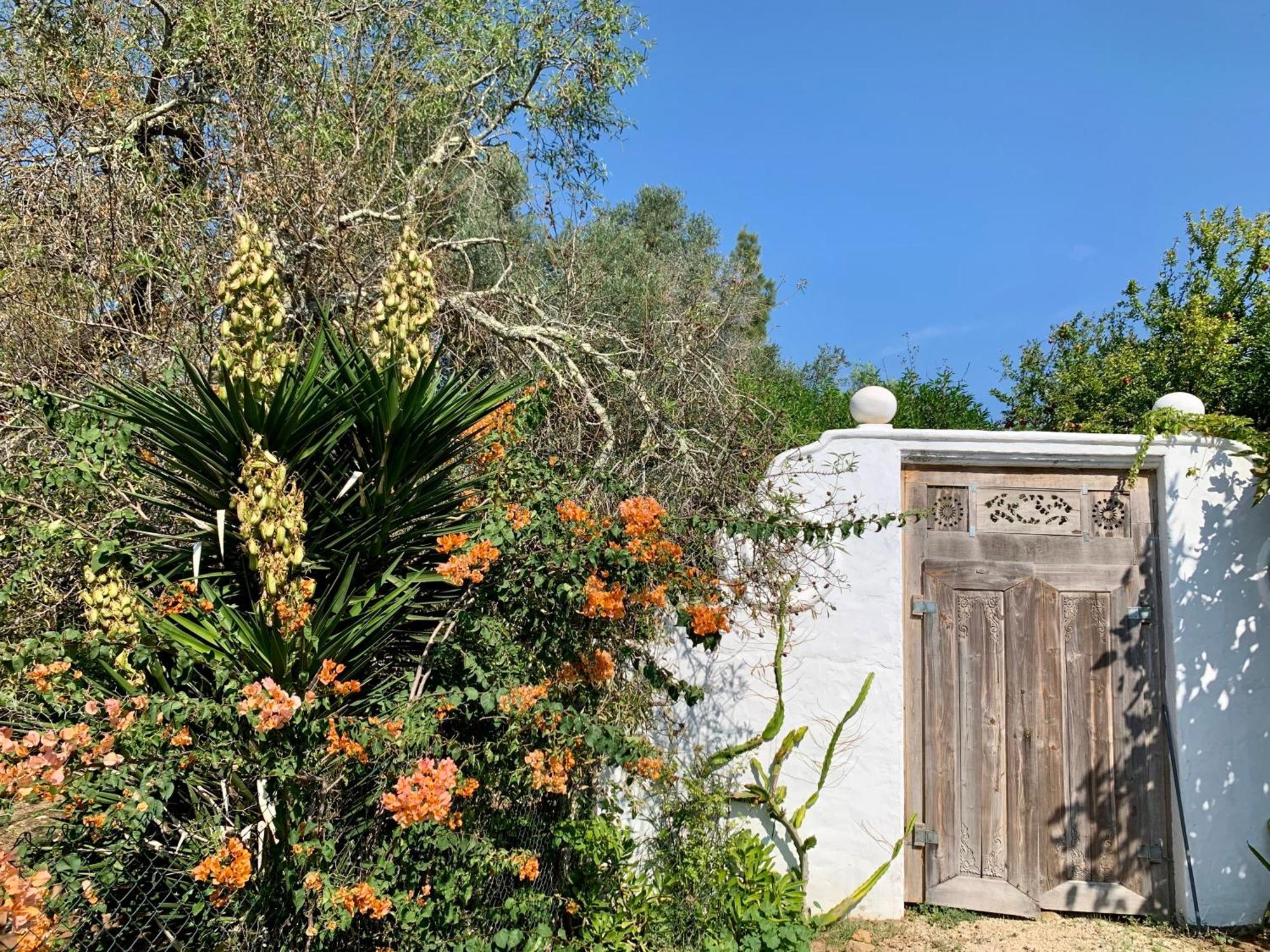 Casa Stardust & Cottages Quelfes المظهر الخارجي الصورة
