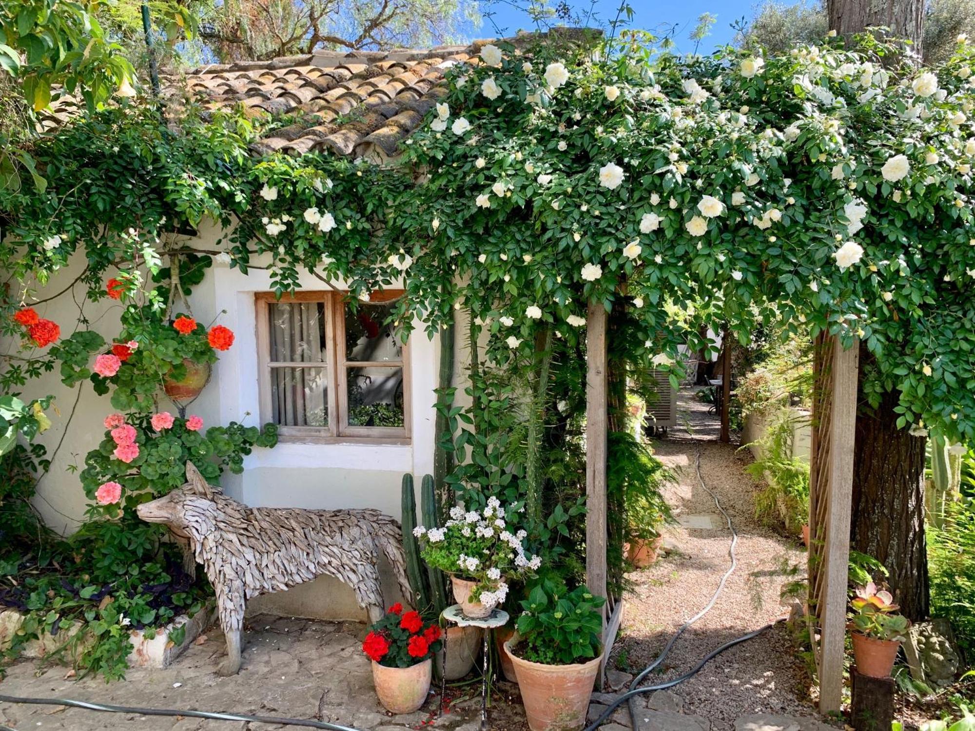 Casa Stardust & Cottages Quelfes المظهر الخارجي الصورة