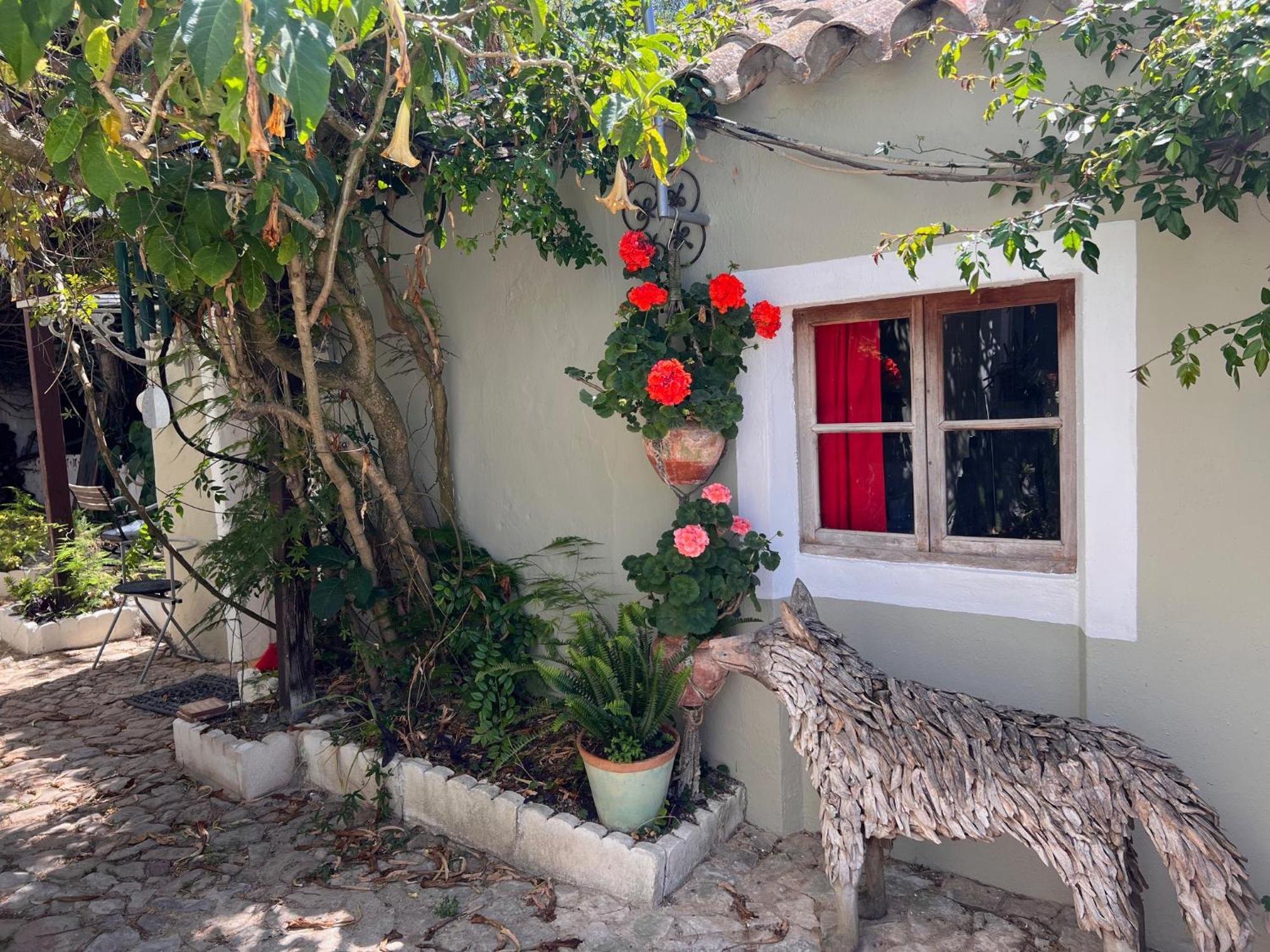 Casa Stardust & Cottages Quelfes المظهر الخارجي الصورة