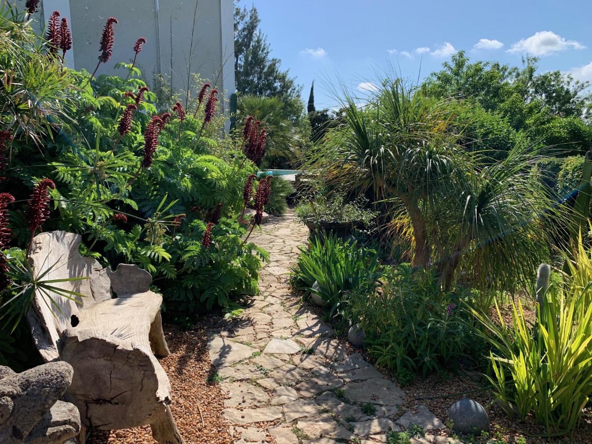 Casa Stardust & Cottages Quelfes المظهر الخارجي الصورة